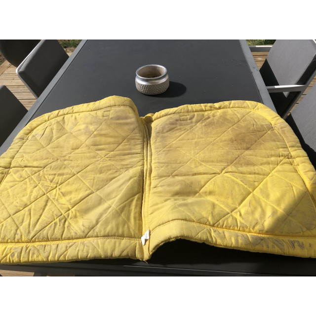 Tapis equitheme