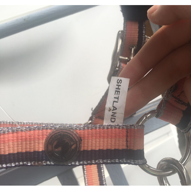 Licol shetland Harry's Horse