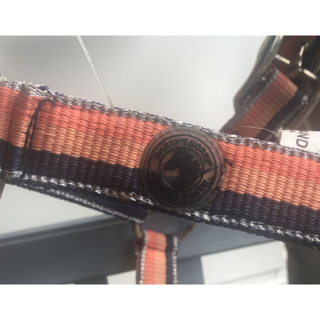 Licol shetland Harry's Horse