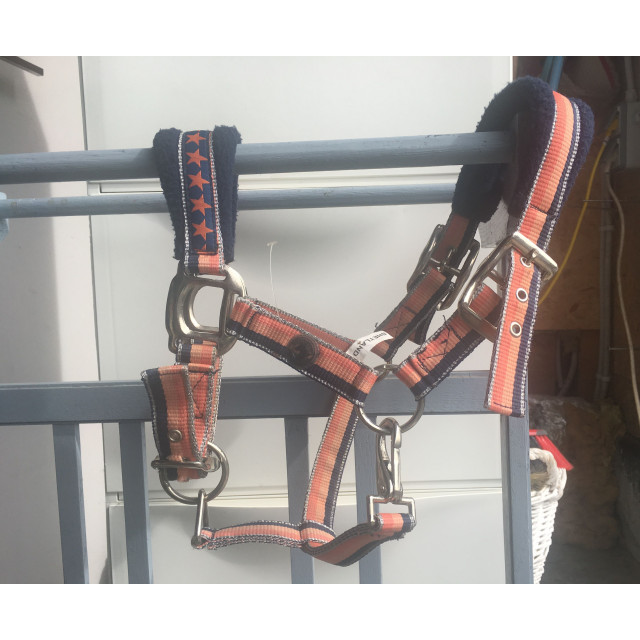 Licol shetland Harry's Horse