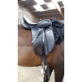 Selle dressage/loisir