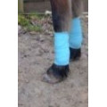 2 bandes de Polo