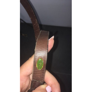 Rênes allemandes Éric Thomas