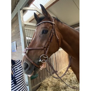 bridon Stübben neuf