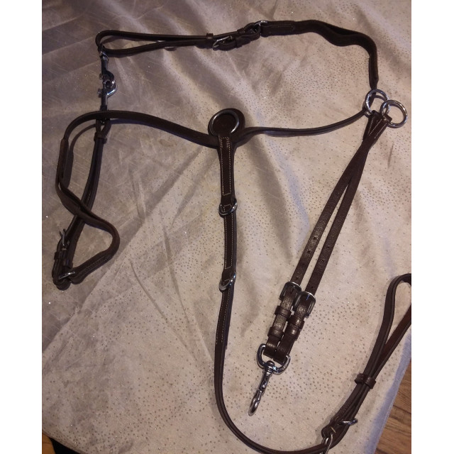 Collier de chasse elastique + martingale