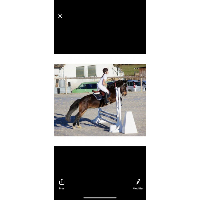 tapis equi-theme diamond