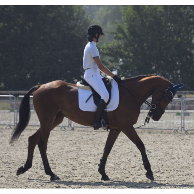 Selle dressage Wintec Pro Cair 17,5’+ Sangle courte