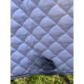 tapis de dressage