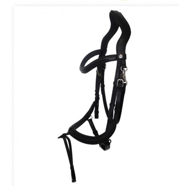 Filet anatomique noir Forestier