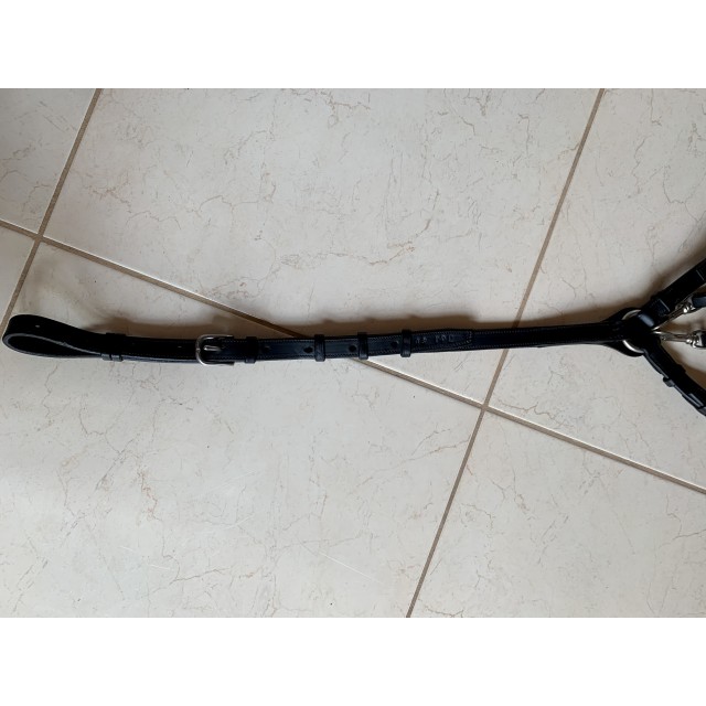 Collier de chasse noir CWD