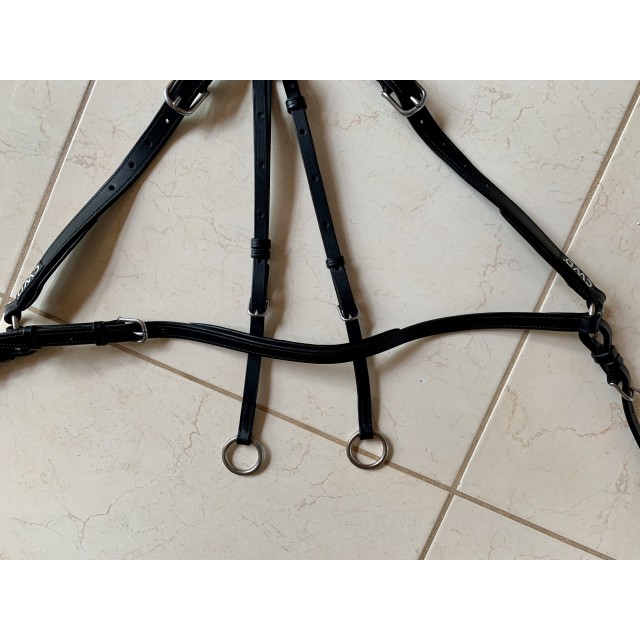 Collier de chasse noir CWD