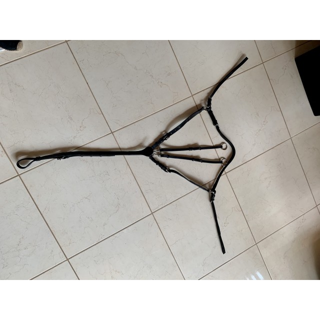 Collier de chasse noir CWD