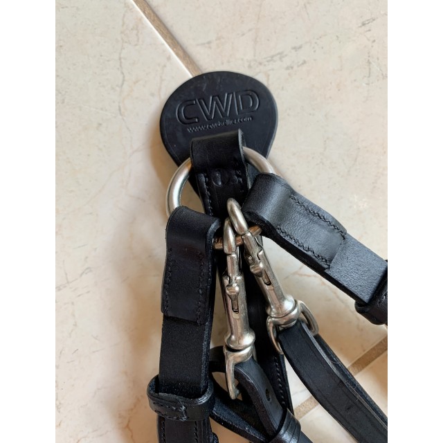 Collier de chasse noir CWD