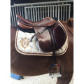Selle CSO Childeric