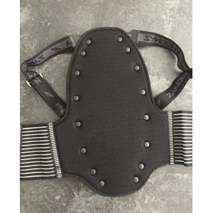 Protection dorsale zandona