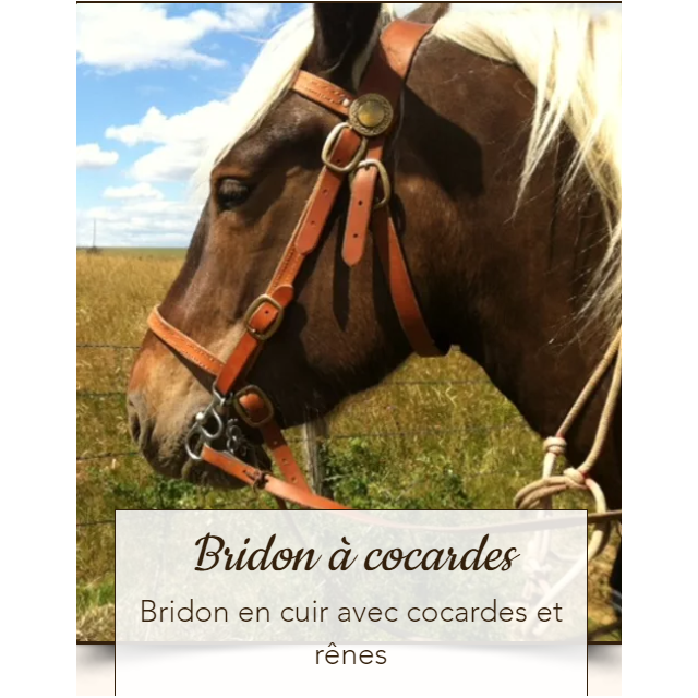 Bridon Comtois