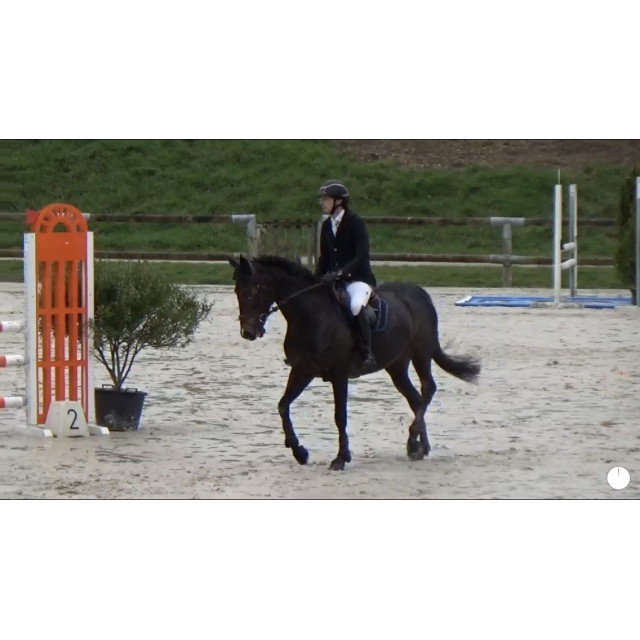 Veste de concours Oscar et Gabrielle avec airbag