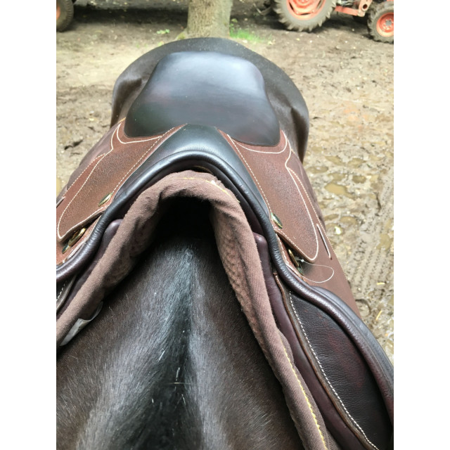Selle Protanner Neuve