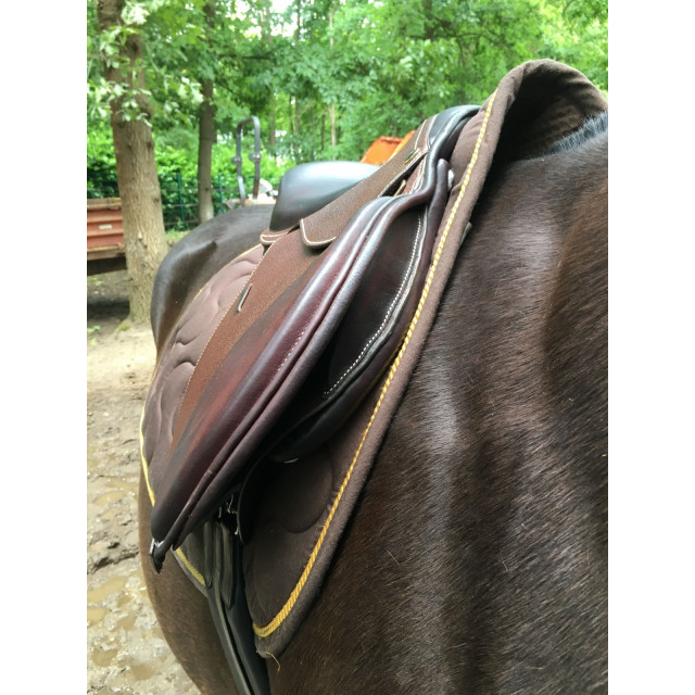 Selle Protanner Neuve