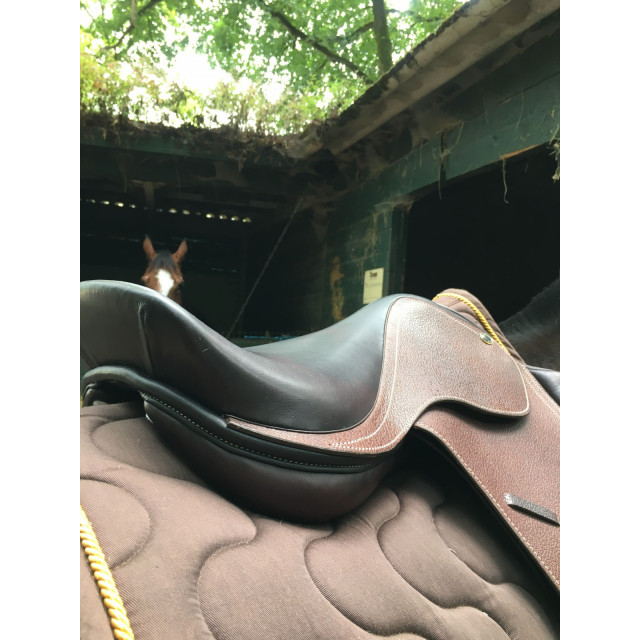Selle Protanner Neuve