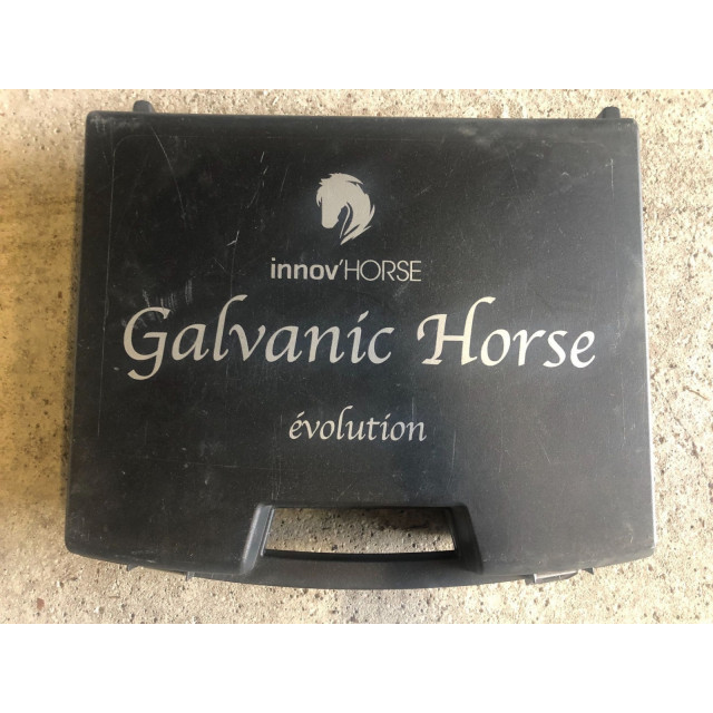 Galvanic Horse