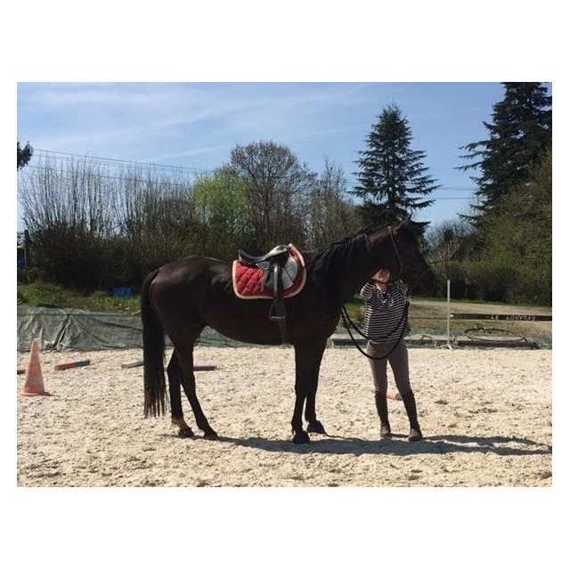 Selle cuir/simili cuir