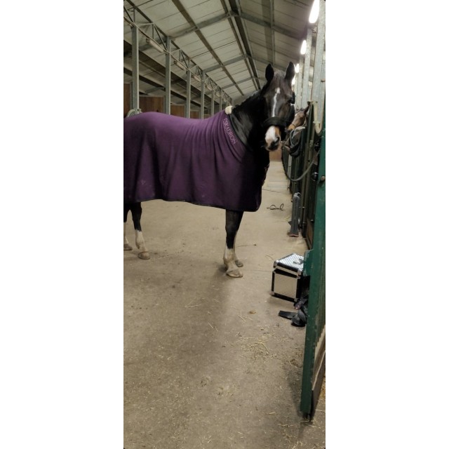 Couverture Eskadron prune