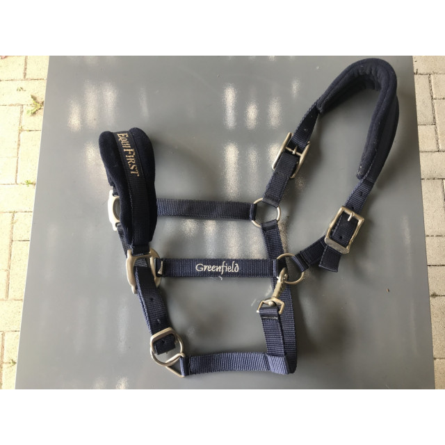 Licol equifirst/greenfield