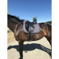SELLE DE DRESSAGE X-PRESTIGE HELEN D K  + ETRIVIERES + SANGLE DE DRESSAGE (taille poney OU cheval)
