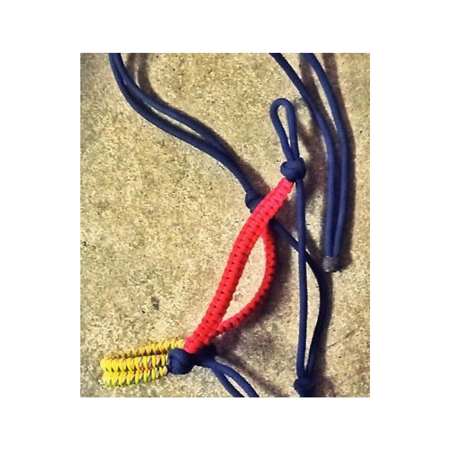 Licol éthologique coloré