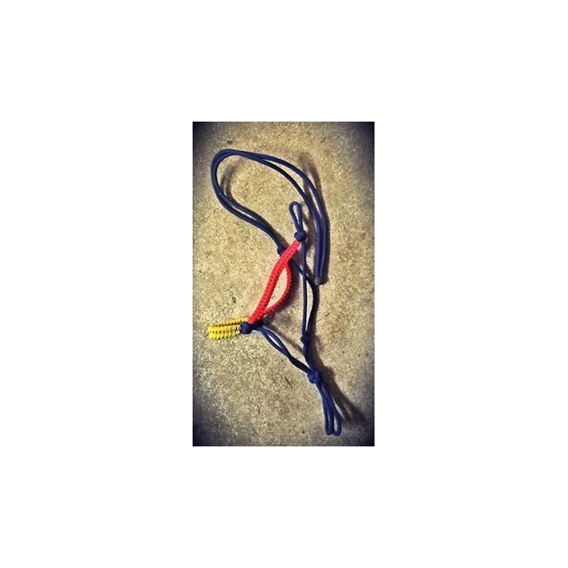 Licol éthologique coloré