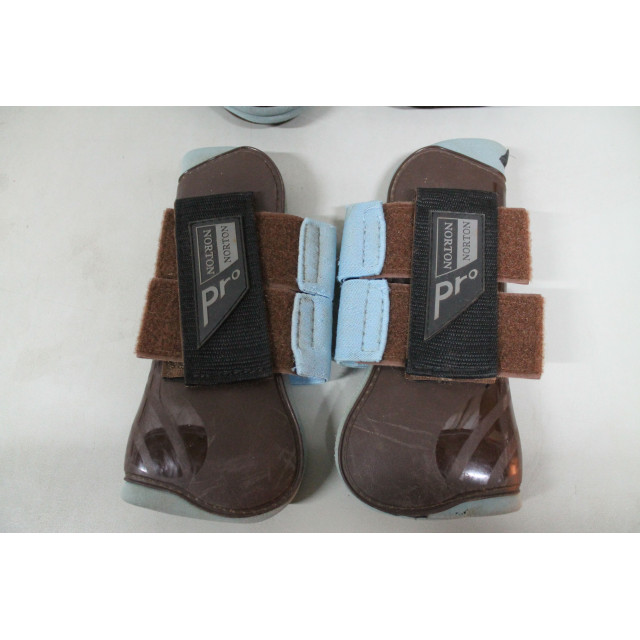 protections Norton pro