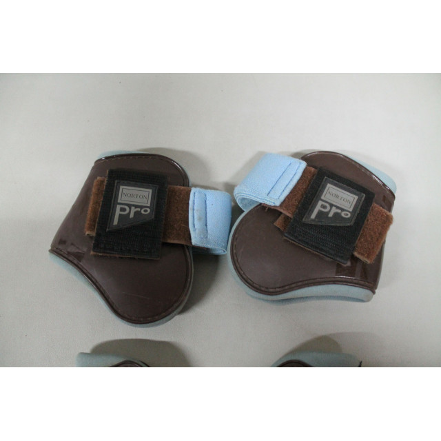 protections Norton pro