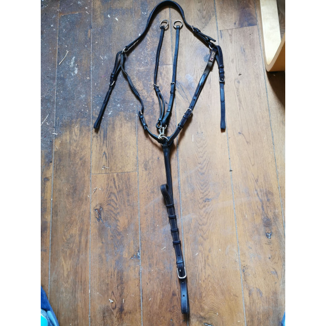 Collier de Chasse CWD