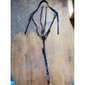 Collier de Chasse CWD