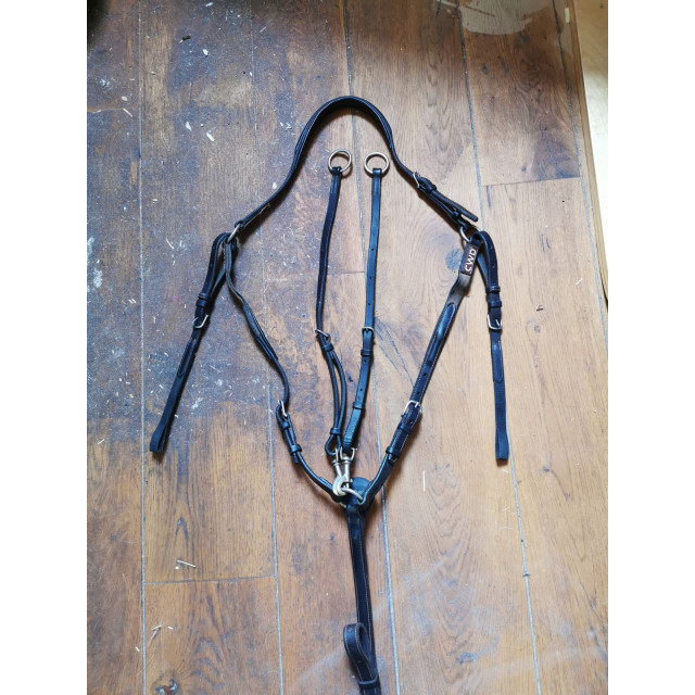 Collier de Chasse CWD
