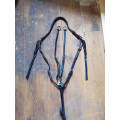 Collier de Chasse CWD