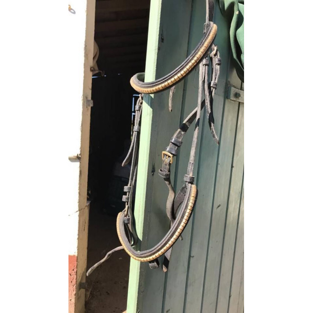 Filet noir taille cheval