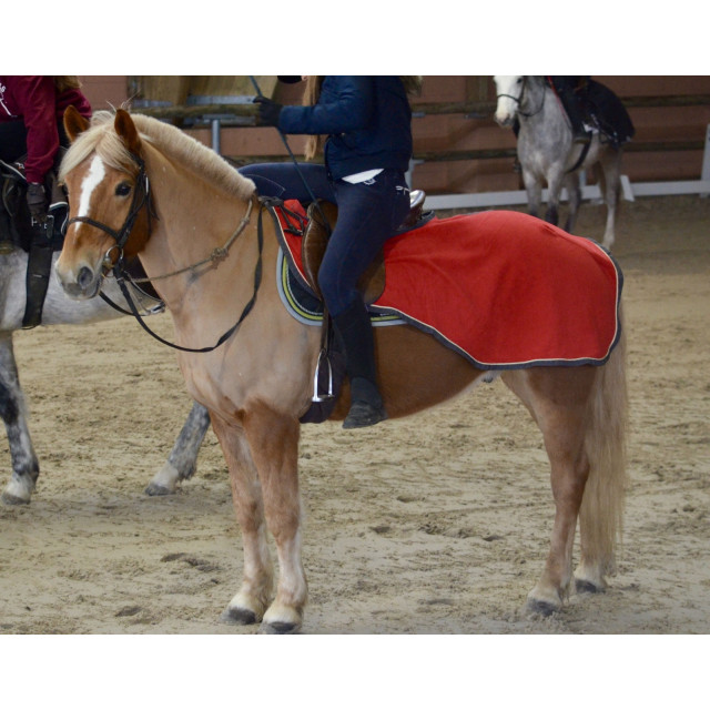Couvre-reins Rouge