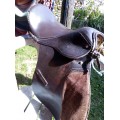 Selle cuir poney