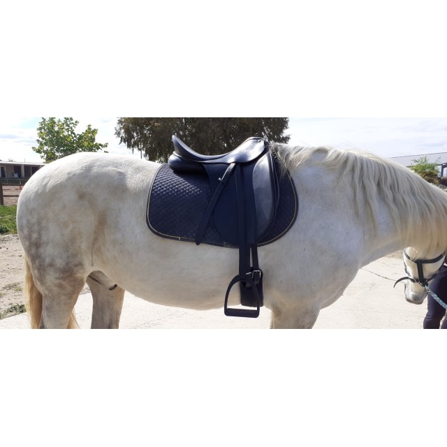 Selle dressage bates caprili