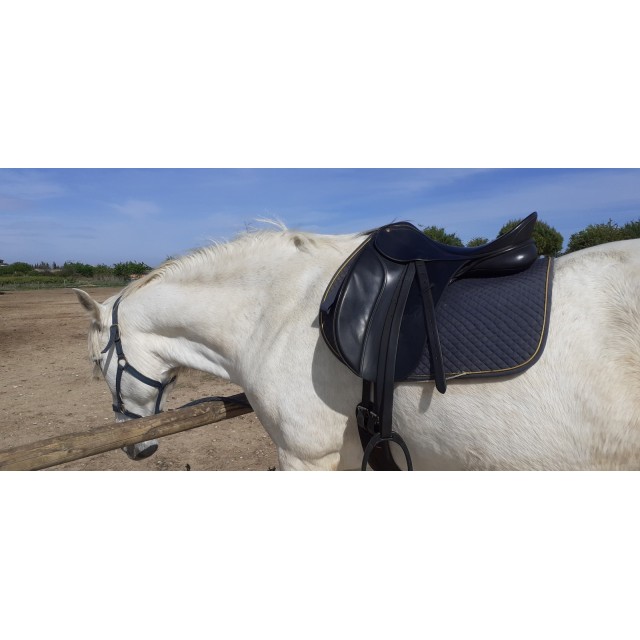 Selle dressage bates caprili