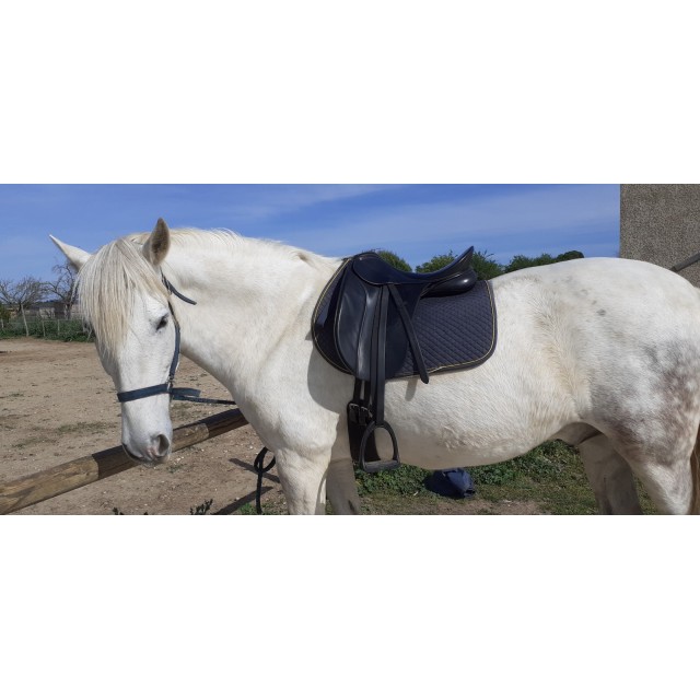 Selle dressage bates caprili