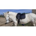 Selle dressage bates caprili