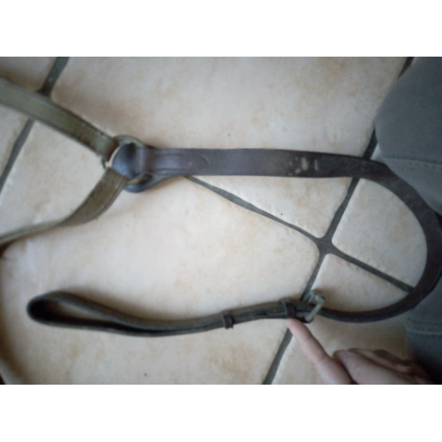 Collier de chasse