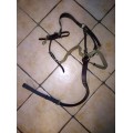 Collier de chasse