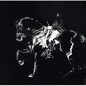 Vente tableaux chevaux