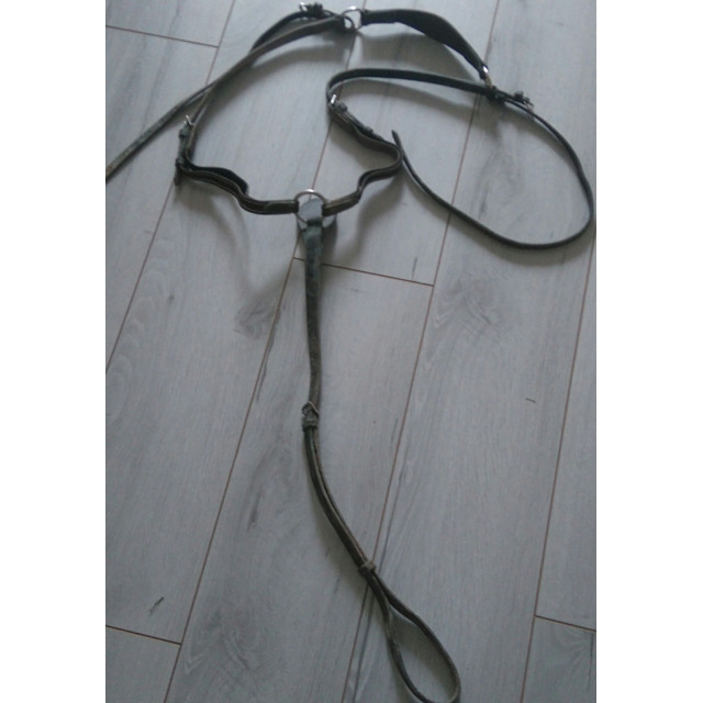 Collier de chasse