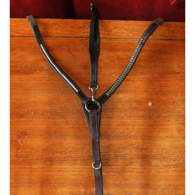 Collier de chasse avec martingale