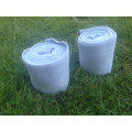 Bandes de polo